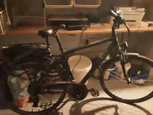 E Bike Zündapp, Prophete, Batterie defekt