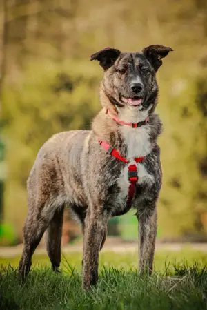 FREYA, *geb. 08 2024 - wunderschönes Mädchen sitzt schon auf gepacktem Koffer 