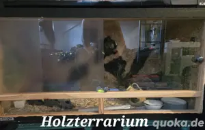 Terrarium Holz