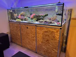 Meerwasser Poolbecken 400l Aquarium komplett