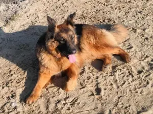 Ich hab doch auch ein Recht auf eine Familie!