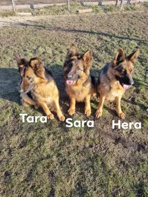 Ich hab doch auch ein Recht auf eine Familie!