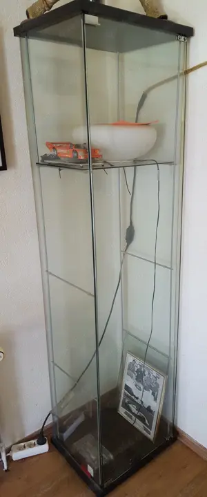 Standvitrine zu verschenken
