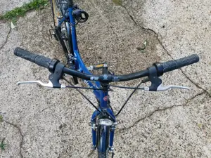 Atala Sognare Damen Fahrrad Bild 3