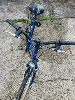 Atala Sognare Damen Fahrrad Bild 4