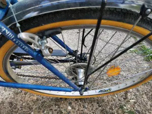 Atala Sognare Damen Fahrrad Bild 8