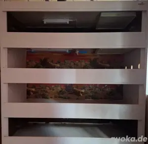 4er kunstoff Terrarium 120L,120H,60B von Tropic shop 