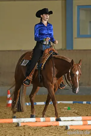 Biete Reitbeteiligung auf Quarter Horse Stute