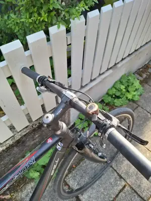 Radon Skill 9.0 Fitnessbike