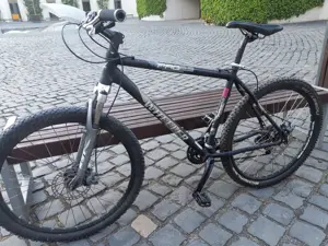 Wheeler Mountainbike