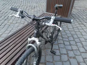 Wheeler Mountainbike Bild 4