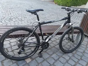 Wheeler Mountainbike Bild 2