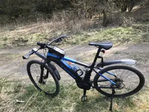 E Bike Trek Powerfly 5