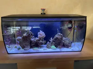 Aquarium Meerwasser Fluval Flex Marine 123 LED inkl Zubehör