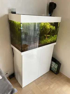 Aquarium Juwel Rio125 LED mit Besatz und Zubehör Bild 3