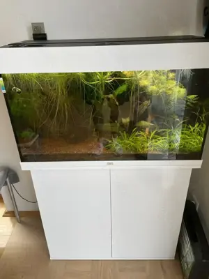 Aquarium Juwel Rio125 LED mit Besatz und Zubehör