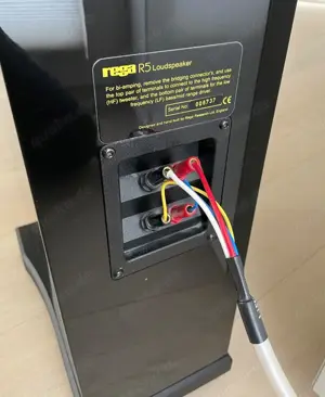 Rega R5 Standlautsprecher inkl. Bi-Wire Lautsprecherkabel Bild 3