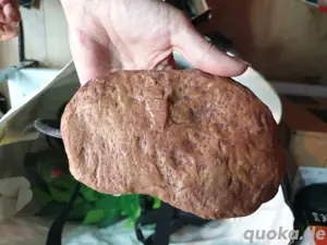 reptilien Zubehör 