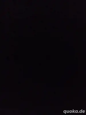 Suche ein kleinen Hund 
