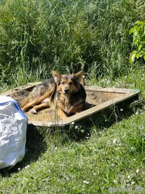 Der Hübsche sucht