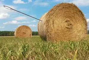 Suche die Stecknadel im Heuhaufen!