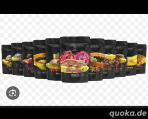 Gecko Nutrition