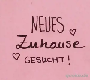Haus zur Miete gesucht Kreis Bad Dürkheim und Umland von Weisenheim am Sand 