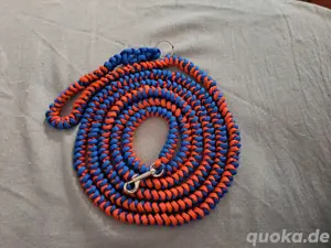 Spiralhundelein 