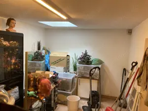Miete Praxis Büro Kanzlei Gewerbe Raum 110qm in Greifenberg   Ammersee Bild 6
