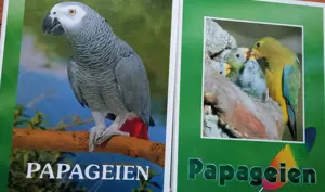 Papageienzeitschrift