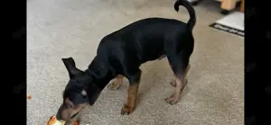 Mali ist wunderschön 