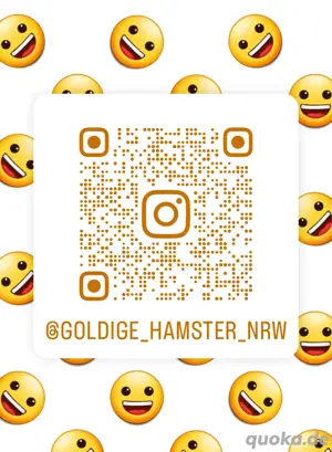 Goldhamster Nachwuchs abzugeben Bild 9