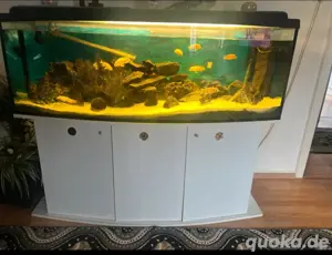 Aquarium abzugeben