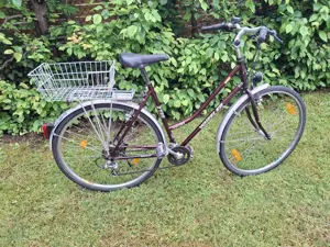 Damen Trekking Fahrrad 21 Gang