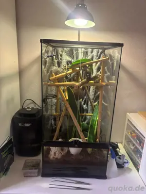 Terrarium Palladurium mit Bewässerung und Licht