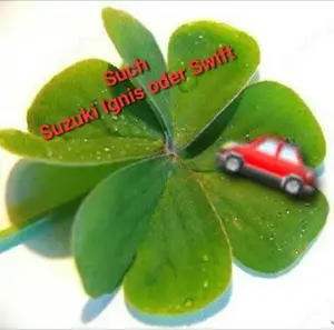 Such Suzuki ignis oder swift
