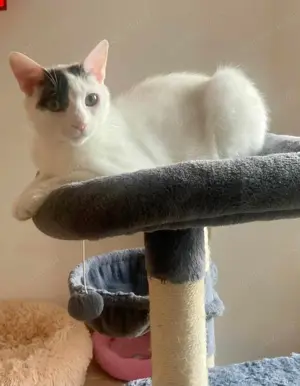 Penny und Pepe suchen ein gemeinsames Zuhause Bild 3