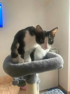 Penny und Pepe suchen ein gemeinsames Zuhause Bild 2