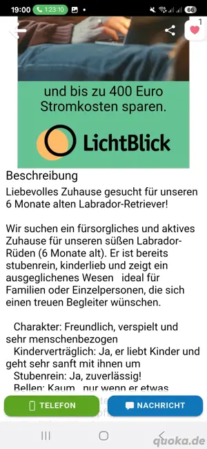 vorsicht .sie darf ihn nicht weiter verkaufen 