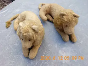 2 schöne alte liegende Löwen Stofftiere