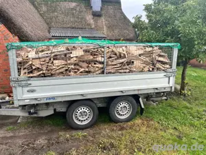 Brennholz, abgelagert, günstig. Von Privat