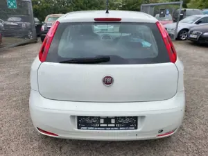 Fiat Punto Evo 5-Türer 1.2 8V Pop Bild 4