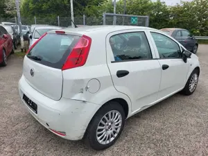 Fiat Punto Evo 5-Türer 1.2 8V Pop Bild 5