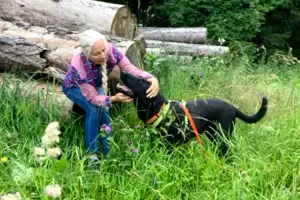 Nicki - 4 Jahre - Perro de Pastor Mallorquin - Tierhilfe Franken e.V. Bild 6