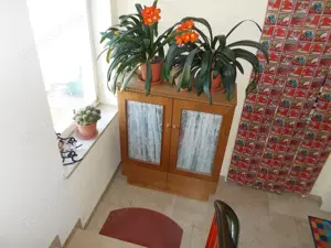 Haushaltshilfe w in Forchheimer Haushalt gesucht! 