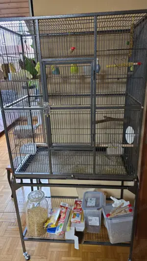 Großer fahrbarer Vogelkäfig