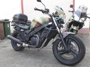 Honda NTV-650 Revere (Wildsau)