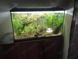 Aquarium Eheim 180l komplett mit Unterschrank und Zubehör 