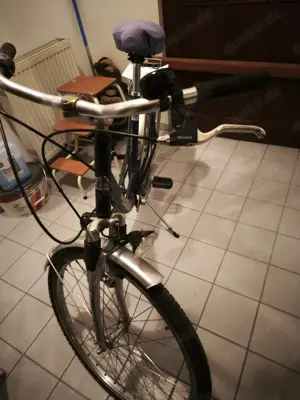 Fahrräder der Marke Pegasus zu verkaufen