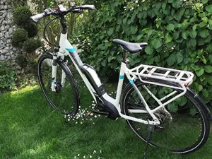 E-Bikes - Pegasus Solero